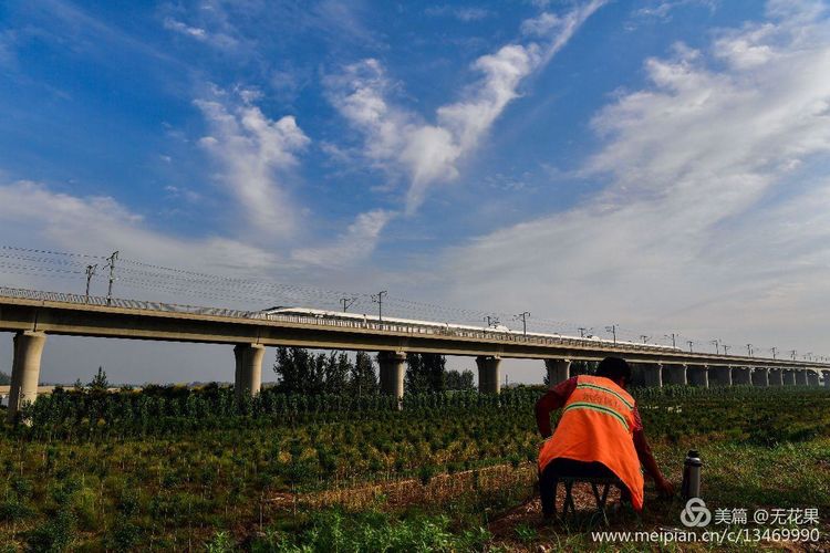 鹤壁淇河风光,鹤壁淇河夜景真实照片