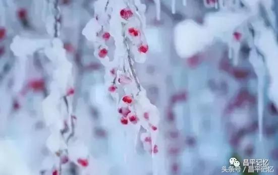 昌平小汤山热带雨林温泉必带清单,北京昌平温泉度假村温泉排名榜