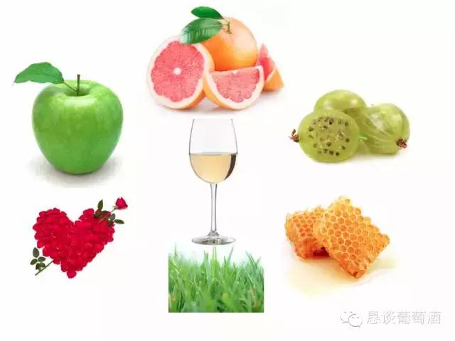 葡萄酒快速入门,葡萄酒快速酿造