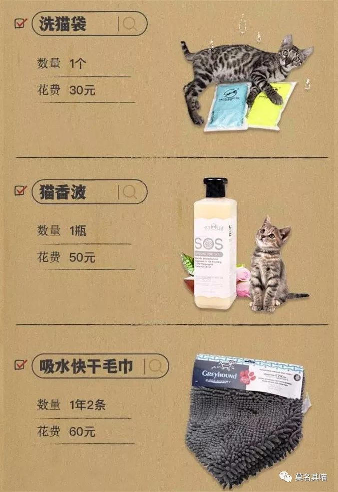 某宝某猫购物评价,某宝买猫100一只是真的吗