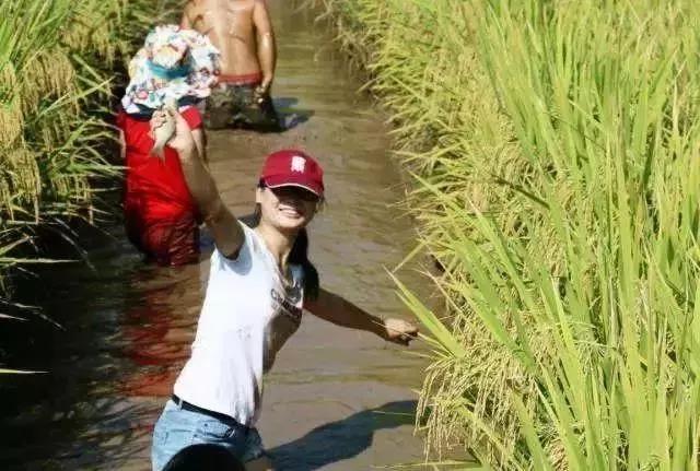 再见云南腾冲,再见2017动态图片