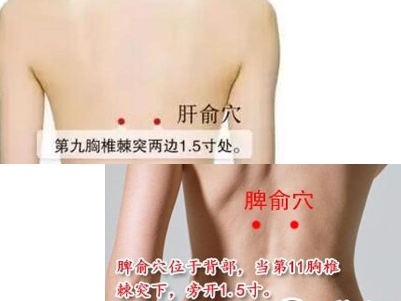 按摩能治脂肪肝？看了才知道原来是真的，记得坚持吆！