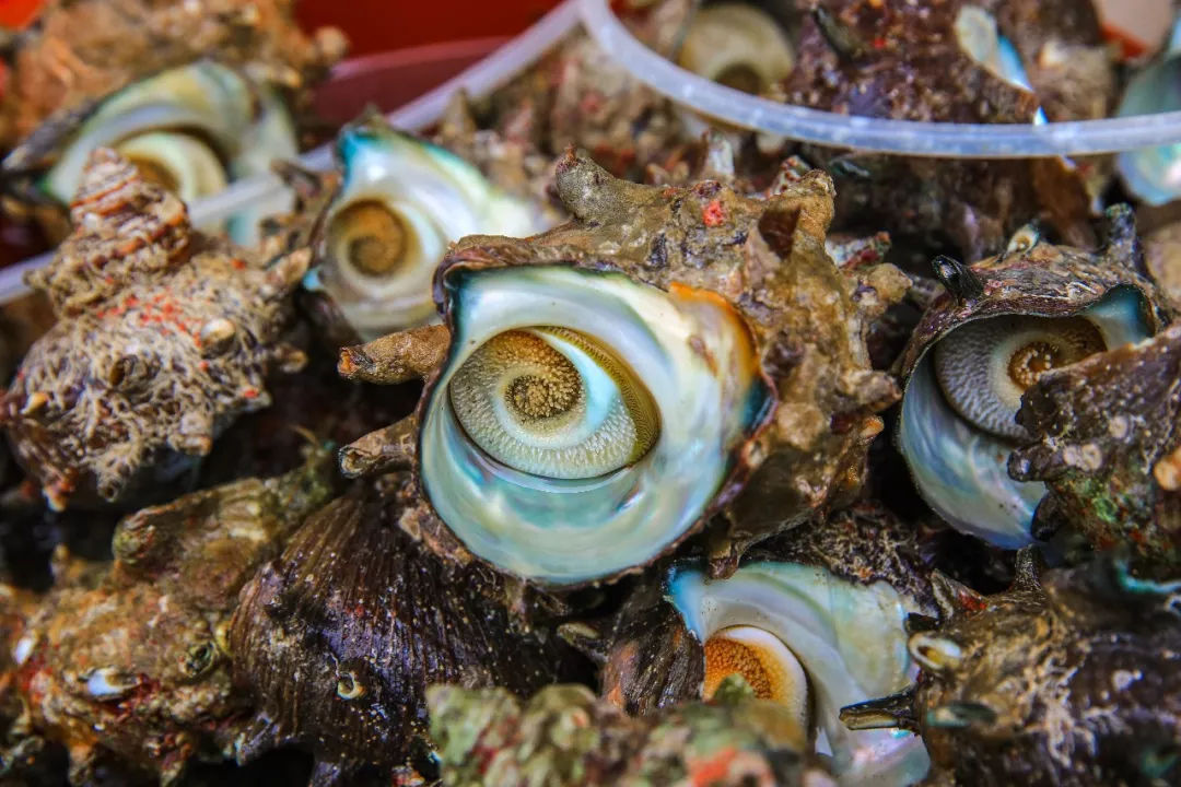 去济州岛可以买些什么回来,济州岛玩乐全攻略