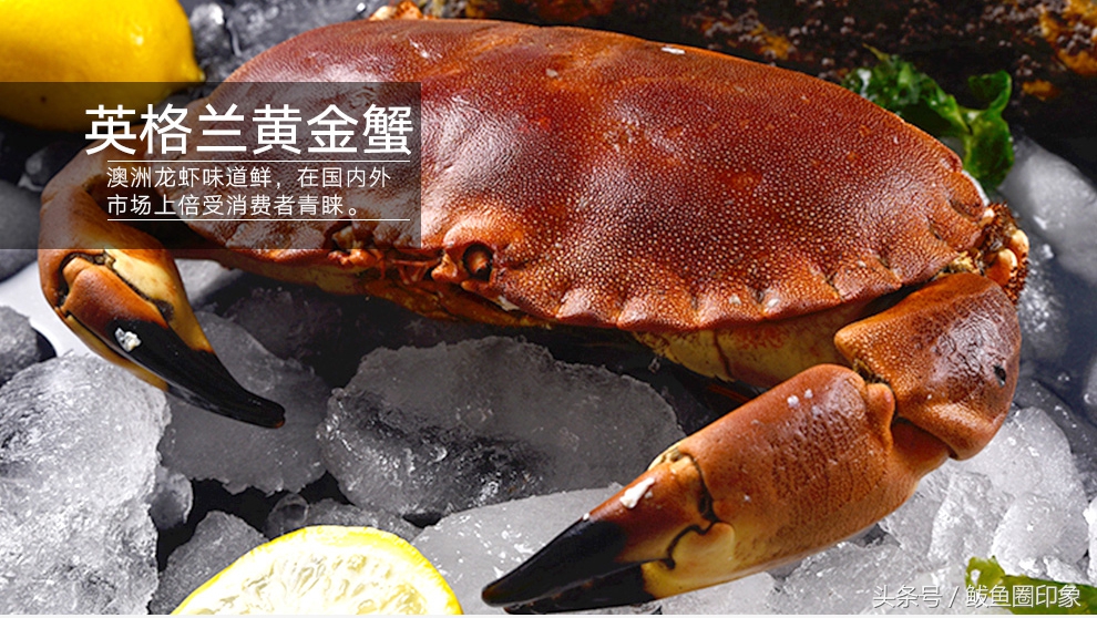 海鲜市场里面东西正品吗,海鲜市场里的秘密