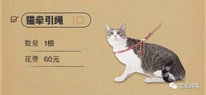 某宝某猫购物评价,某宝买猫100一只是真的吗