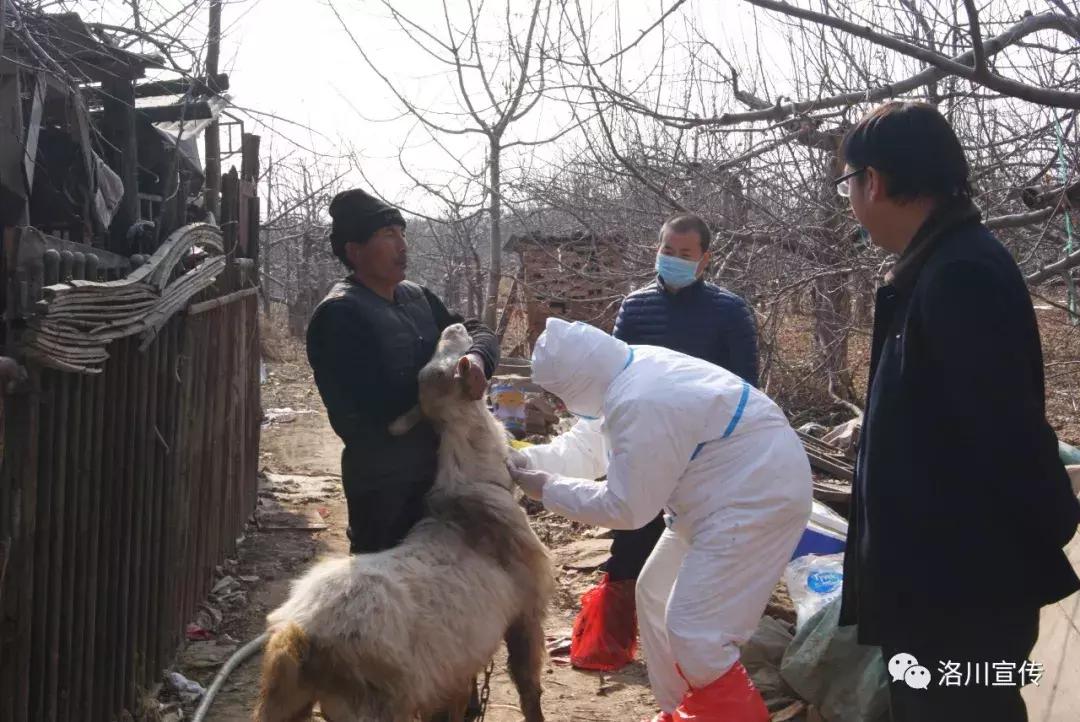 2017洛川大事件,数说中国70年