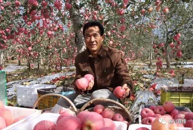 2017洛川大事件,数说中国70年