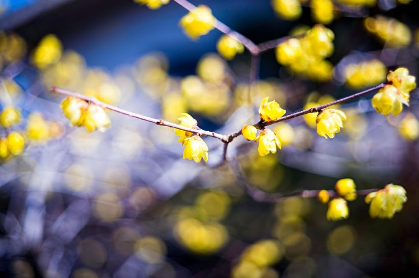 为什么我会在2018年买LeicaM-P的4个理由