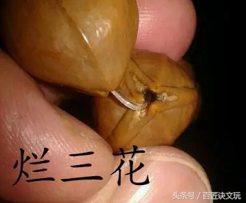 娜姐说核雕,娜姐文玩测评