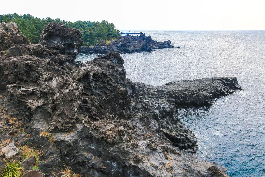 去济州岛可以买些什么回来,济州岛玩乐全攻略