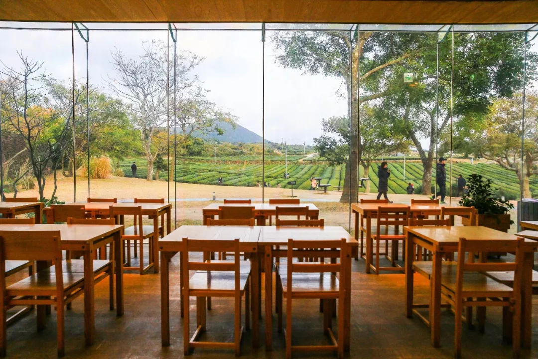 去济州岛可以买些什么回来,济州岛玩乐全攻略