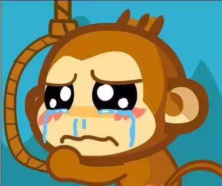 狂言君：看火箭必备的速效救心丸都从休斯顿进口？