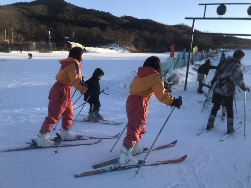 普兰店摘草莓的地方,普兰店草莓采摘技术