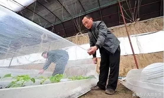 温室大棚保温处理,大棚倒春寒的最佳防冻方法