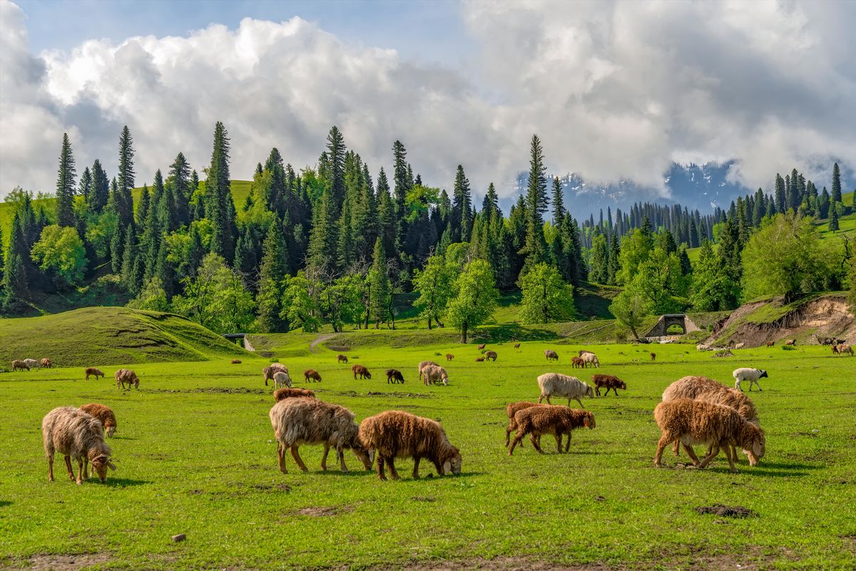 胡立阳的炒股秘笈45集视频,胡立阳炒股绝密秘诀