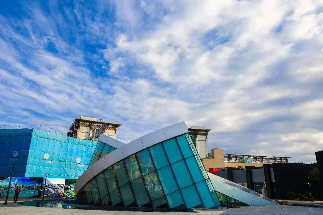 去济州岛可以买些什么回来,济州岛玩乐全攻略