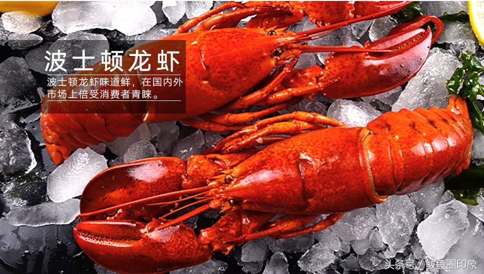 海鲜市场里面东西正品吗,海鲜市场里的秘密