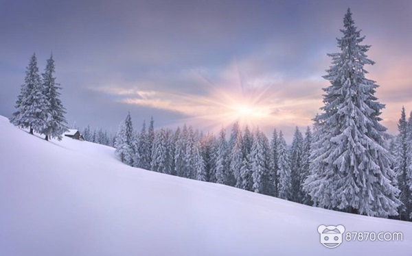 steam商业模拟游戏,steamvr游戏销量排行榜