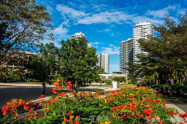 三亚为什么是东北城,三亚为啥是东北人的天堂