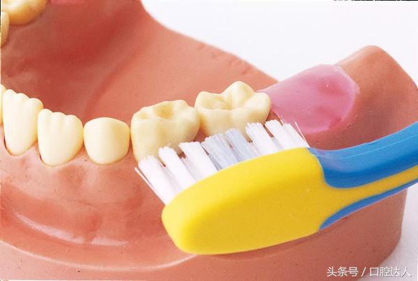 婴儿开始长乳牙该如何护理口腔,宝宝长恒牙怎么护理