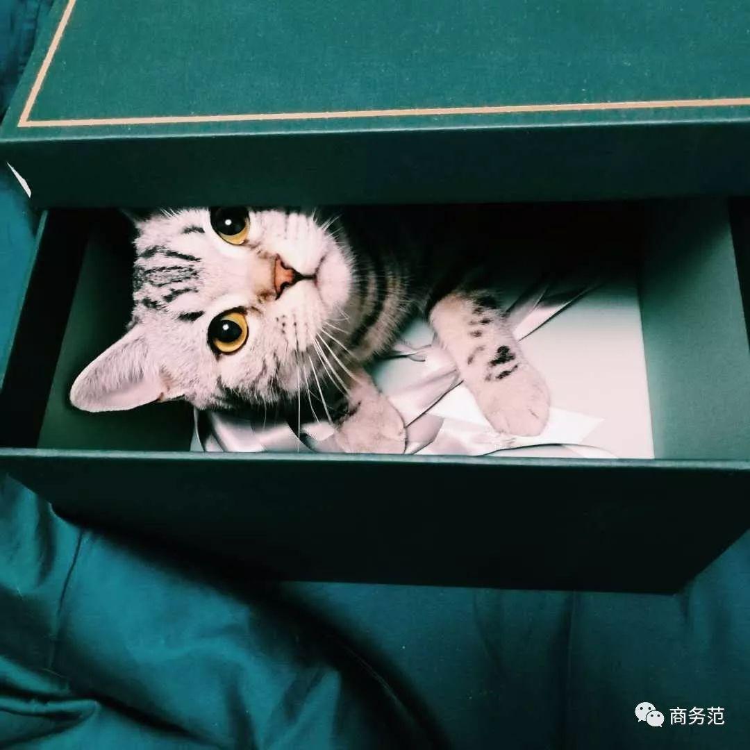 2017年，33件好用到哭、让人感到幸福的好物