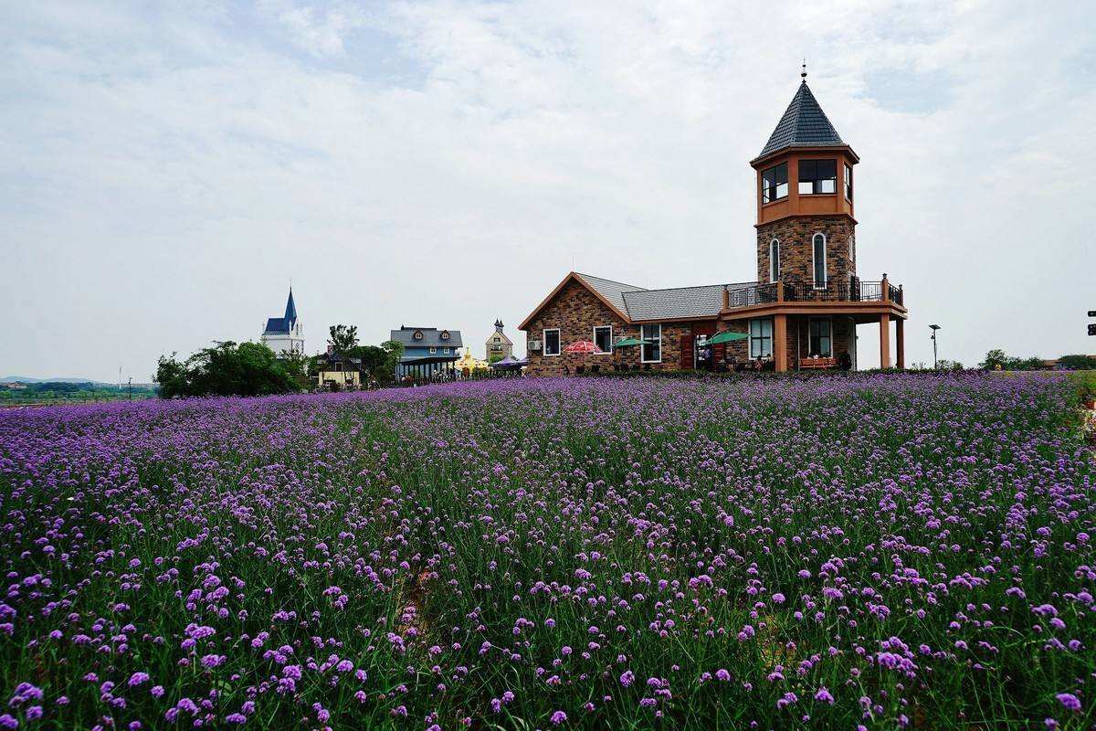 蔡甸，你凭什么这么牛？