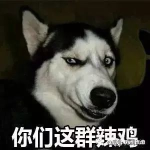 天津是中国最会吃的城市吗,天津是全国最会吃的城市