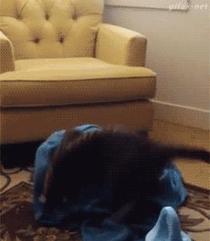 幽默搞笑段子看得我脑瓜疼,搞笑感悟人生的段子