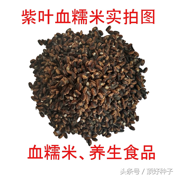 天山胭脂米的营养与功效,胭脂米作用