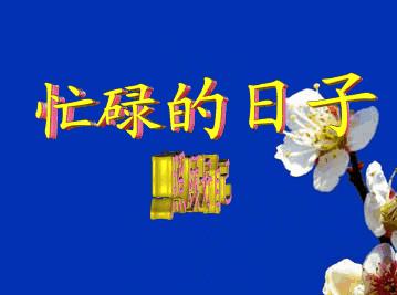 房产证如果被人贷款了怎么查,房产证被别人偷偷拿去贷款怎么办