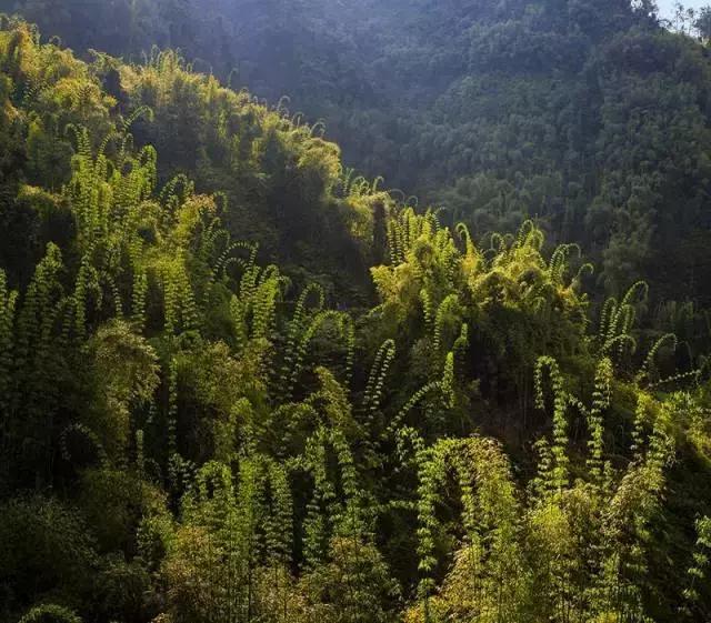 全景乐山沐川,乐山沐川风景区