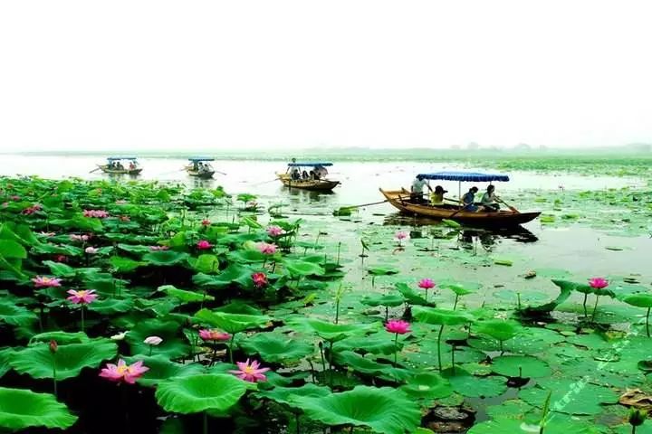 蔡甸，你凭什么这么牛？