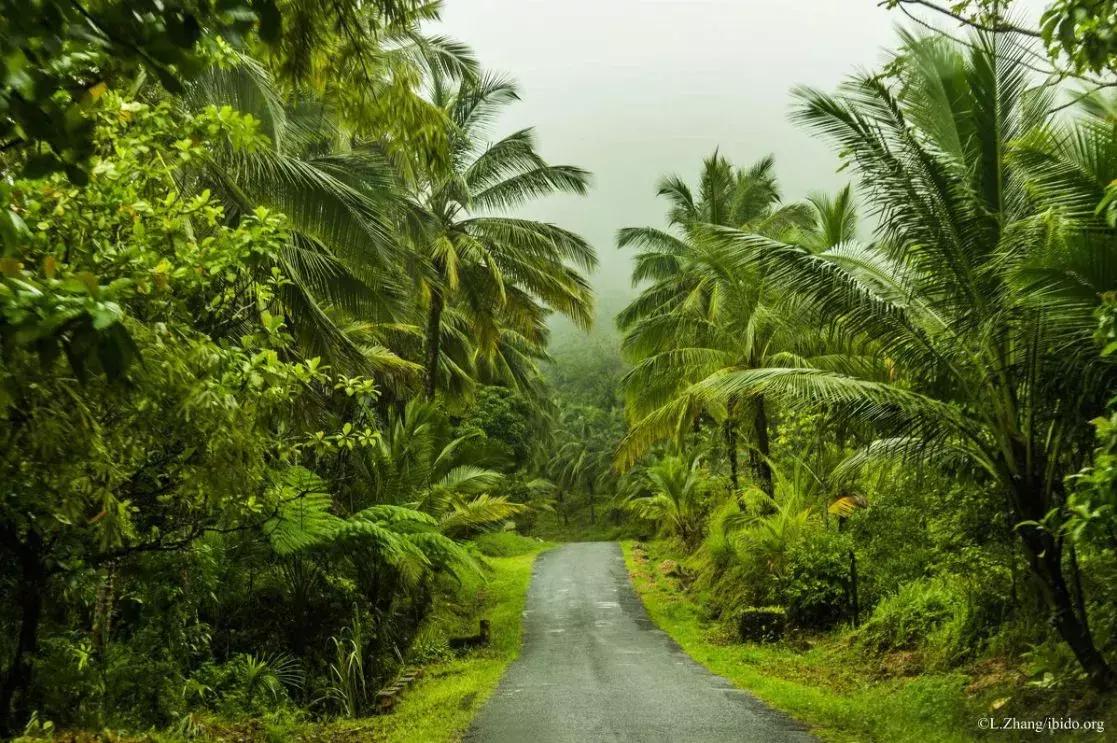 中国护照免签落地签国家,2022中国护照落地签证免签