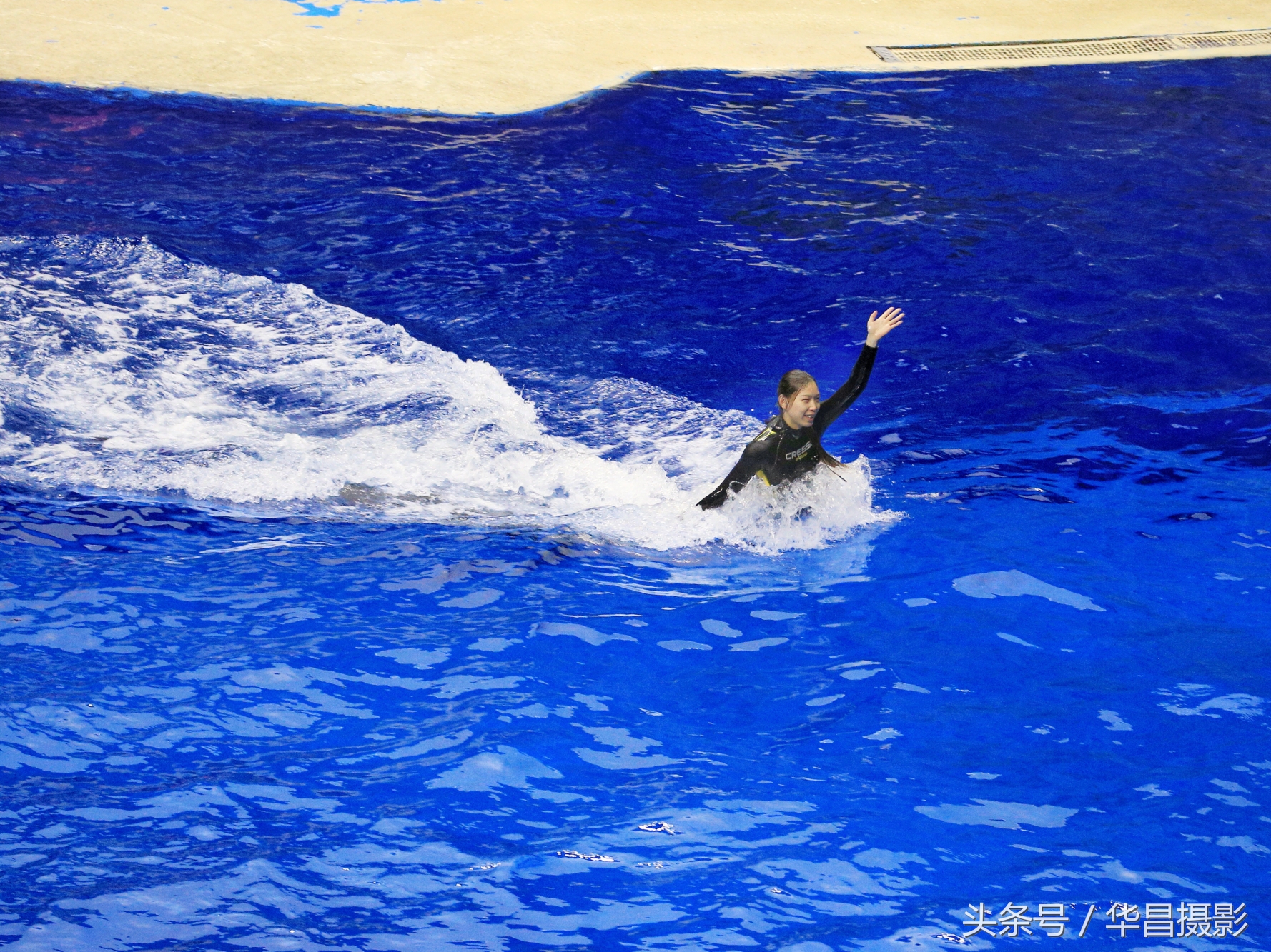 北京海洋馆海豚,北京海洋馆海豚表演时间表