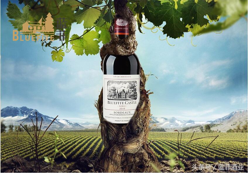 红酒代理商：如何让消费者购买你的葡萄酒？