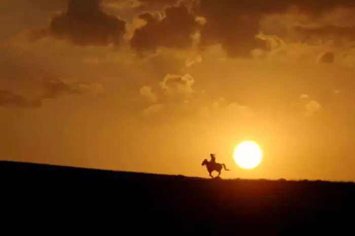 诗是空言梦是虚，一庭春艳曳红裾四月集：留取残荷诗作选二