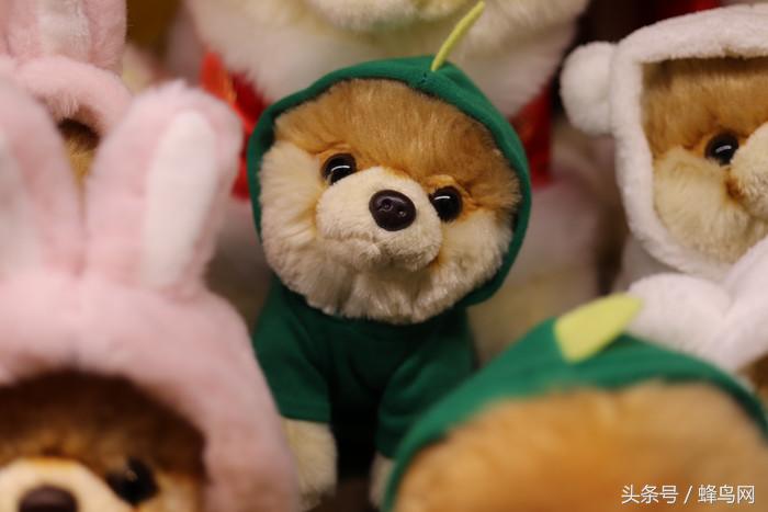 超高像素微距镜头,性价比超高的500万微距镜头