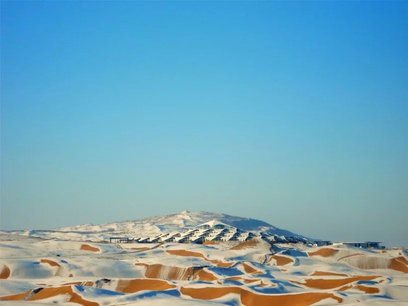 鑳藉湪娌欐紶鐪嬫槦绌虹殑閰掑簵,娌欐紶涓殑鑾茶姳閰掑簵