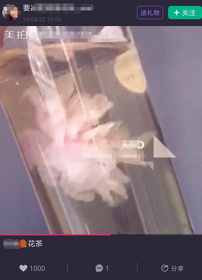 美拍卖,花茶美拍