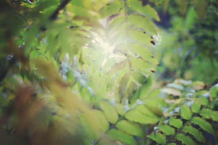 2019会计热点新闻,2017近期会计热点新闻