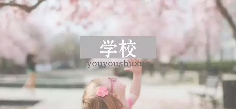 南京小升初择校十大误区,小升初常见择校误区西安