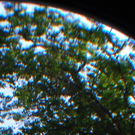 广角微距二合一镜头全新升级,长焦镜头改装手机