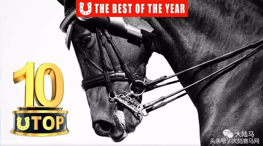 马业要闻,中国马业最受欢迎的俱乐部