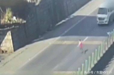 开车正常行驶撞死人了会什么后果,汽车在公路上撞死狗要赔钱吗