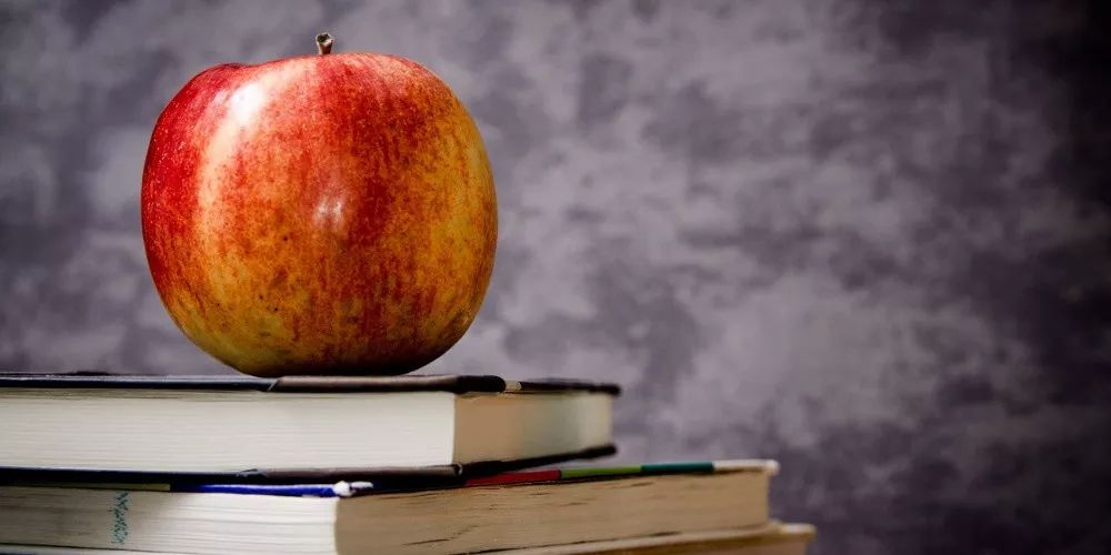 苏枕书,苏枕书小说作品集