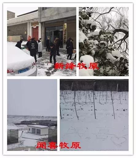 雪中美景雪景,雪中银装素裹美如画