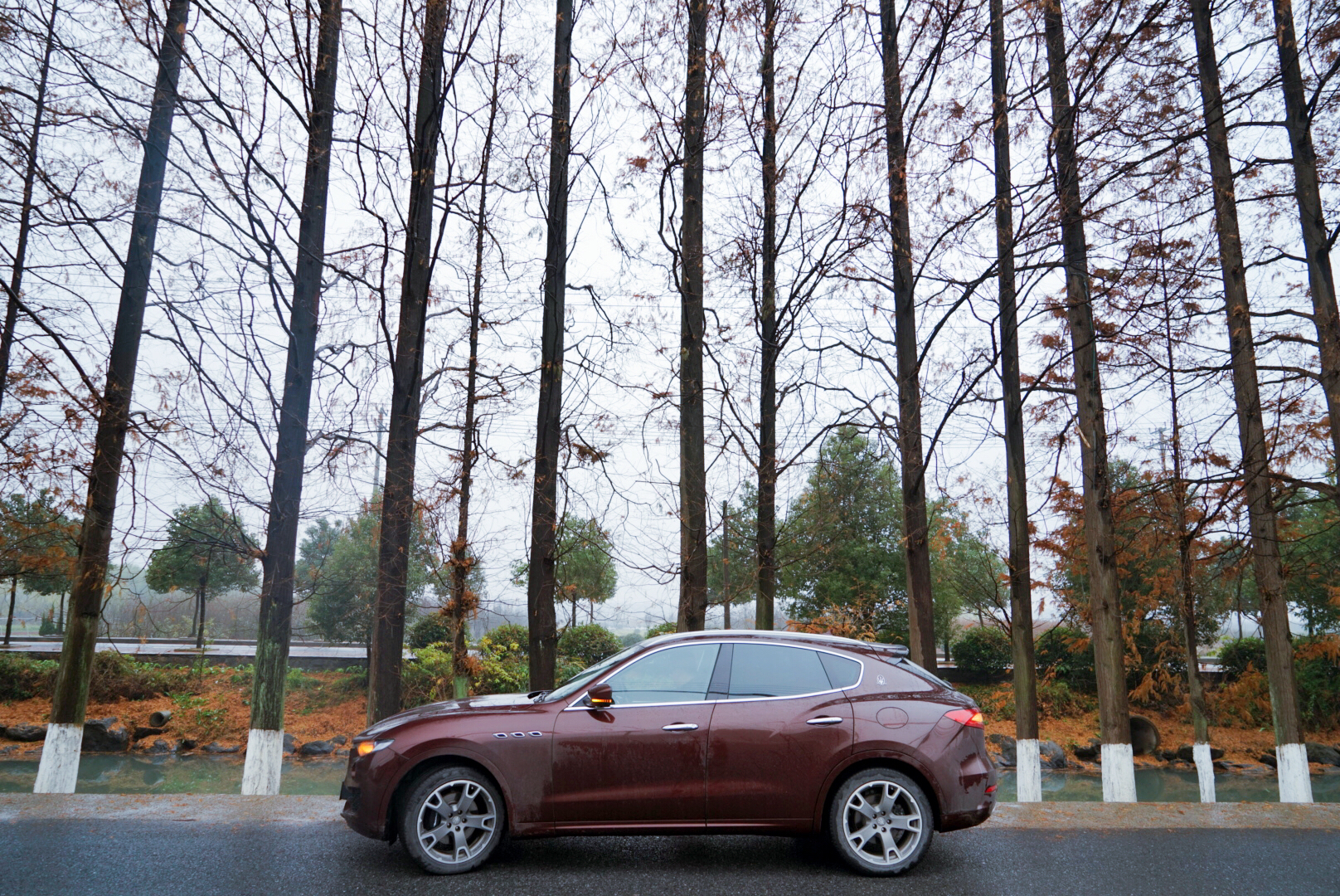 我和玛莎拉蒂的故事,我与玛莎拉蒂的故事