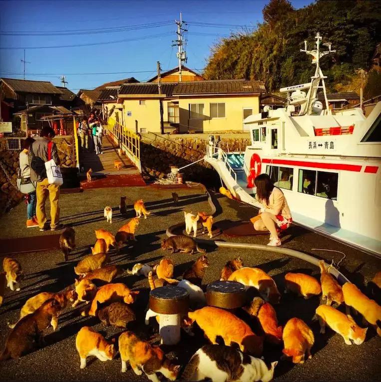 宫崎骏笔下的场景是真实存在的,宫崎骏现实版的场景
