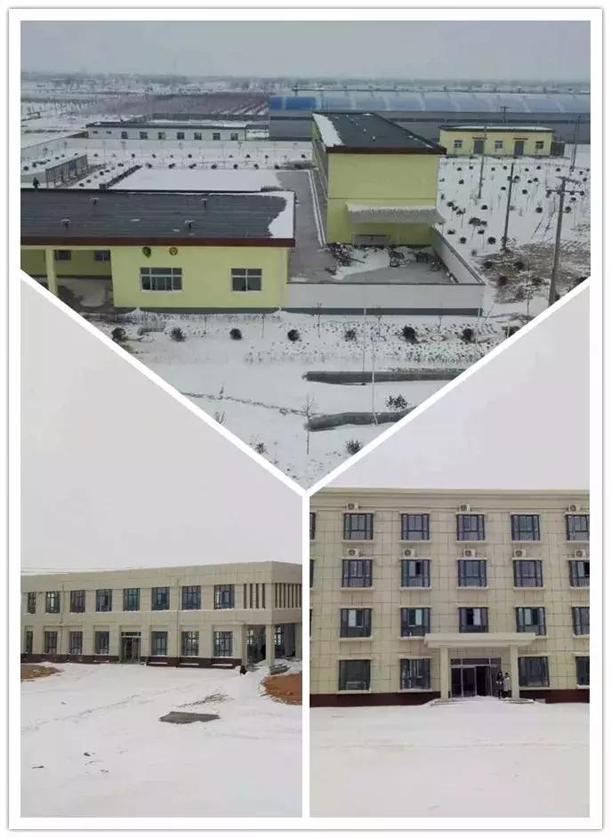 雪中美景雪景,雪中银装素裹美如画