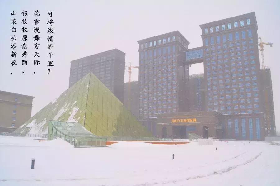 雪中美景雪景,雪中银装素裹美如画